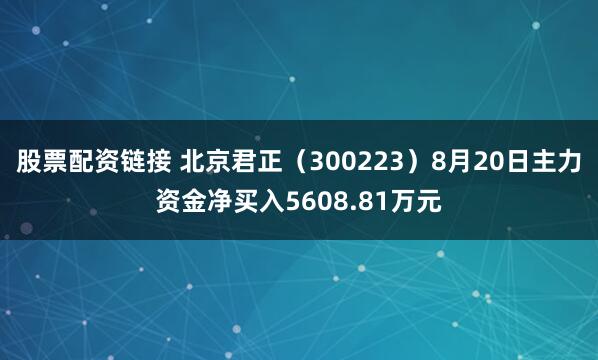 股票配资链接 北京君正（300223）8月20日主力资金净买入5608.81万元