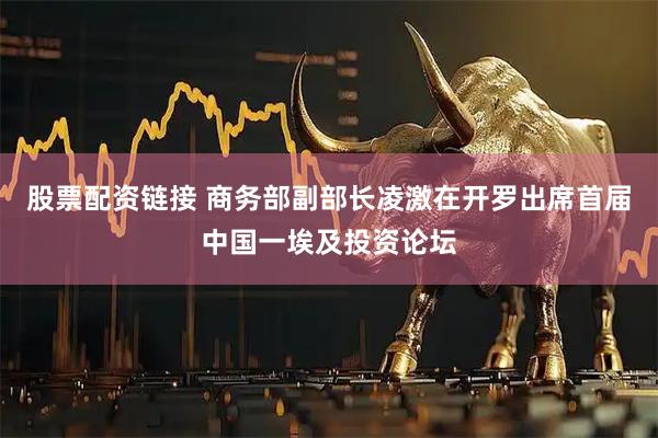 股票配资链接 商务部副部长凌激在开罗出席首届中国一埃及投资论坛